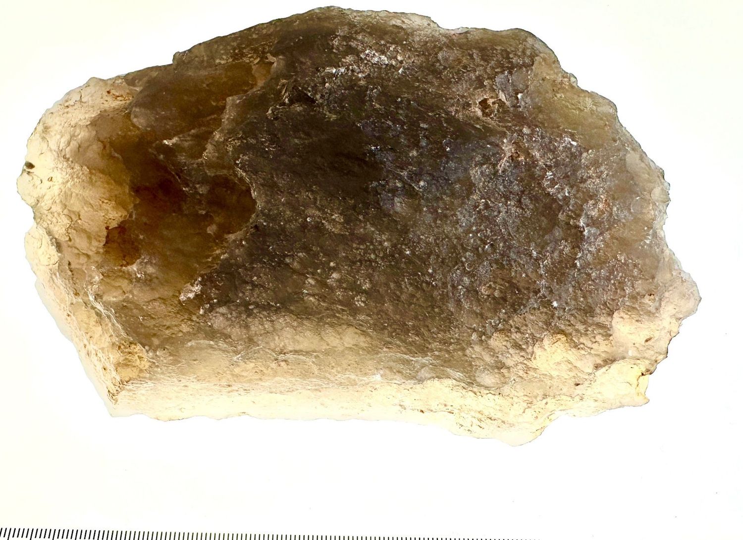 XXL Tektit Wüstenglas Gold Tektit - Rarität!