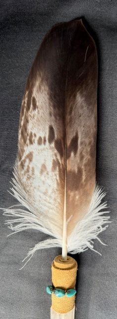 Echte Adlerfeder in Kristall -Rarität!