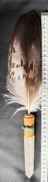 Echte Adlerfeder in Kristall -Rarität!