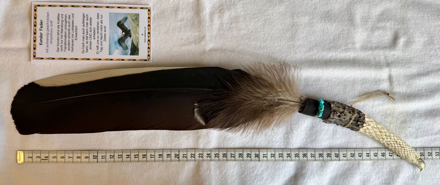 Echter Kondor Feder in Hirschhorn- Selten und Einzelstück!