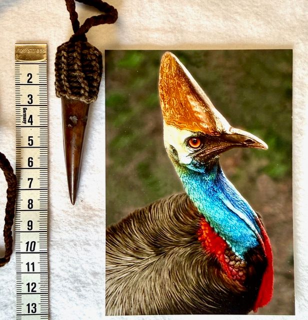 Echte Kasuar Vogel Kralle. Selten!