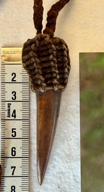 Echte Kasuar Vogel Kralle. Selten!