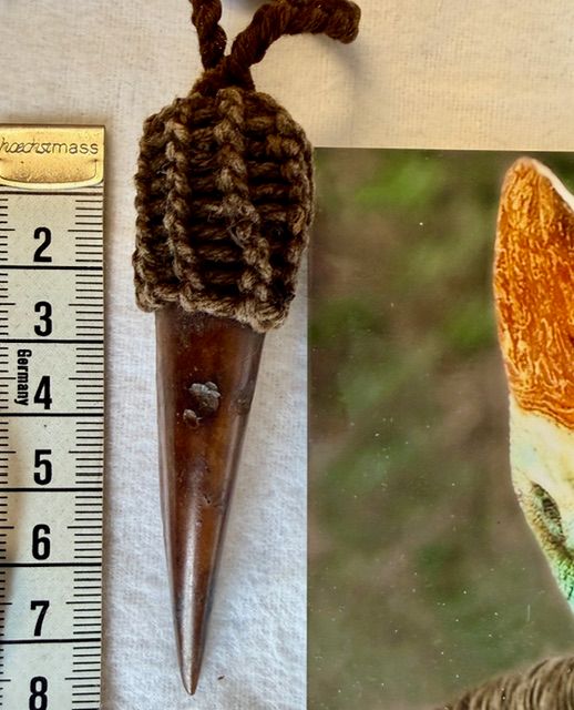 Echte Kasuar Vogel Kralle. Selten!