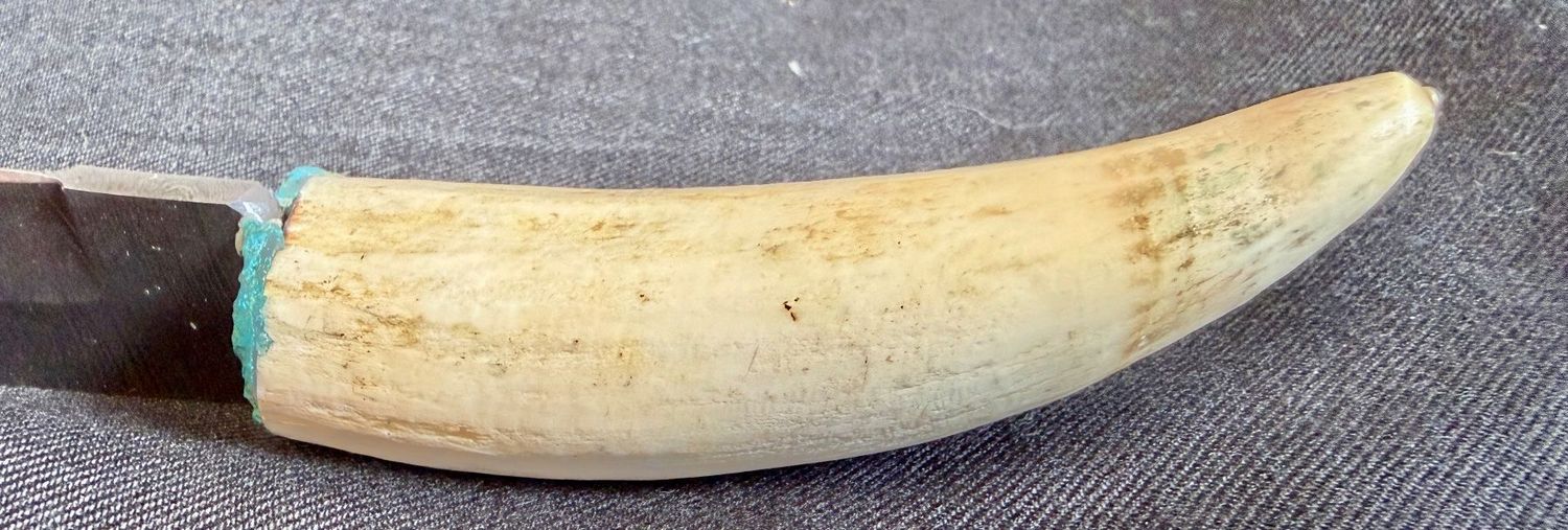 Damast Messer mit echtem Walzahn Griff - Rarität!