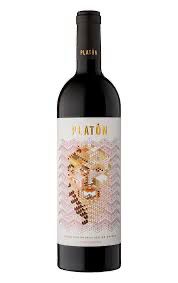 Platón Toro