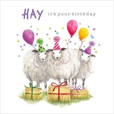 Hay! It's Your Birthday