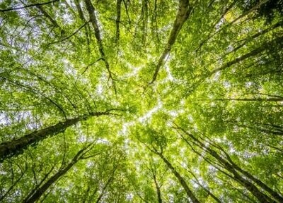 Sustainable Living
