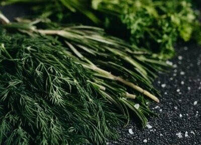 Herbs Seeds