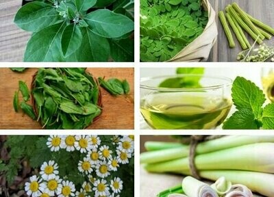 Ayurvedic Immunity Booster Seeds Pack Ayurvedic Immunity Booster Seeds Pack