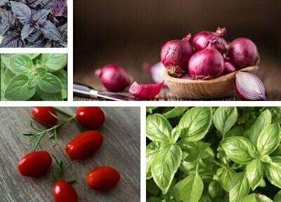 Cherry Tomato & Basil Pizza Seeds Pack Cherry Tomato & Basil Pizza Seeds Pack