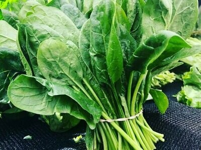 Spinach Seeds (10 seeds)