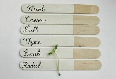 Plant Tag Ice Cream Sticks (5 Sticks) Plant Tag Ice Cream Sticks (5 Sticks)