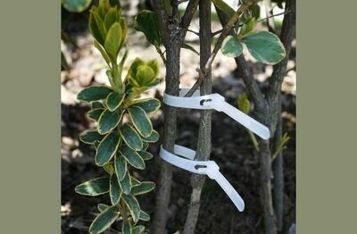 Zip tie for creepers 10in long (2pieces) Zip tie for creepers 10in long (2pieces)