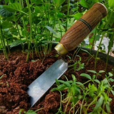 Trowel/ Spade/ Desi Khurpa (Gardening Tool) Trowel/ Spade/ Desi Khurpa (Gardening Tool)