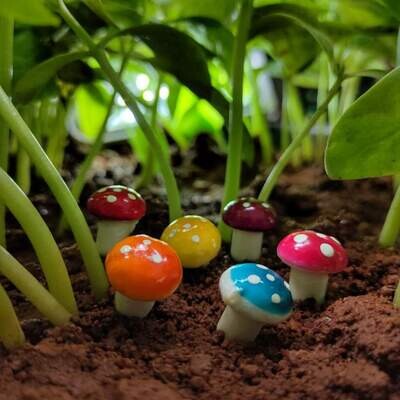 Miniature Mushrooms for Fairy Gardens Miniature Mushrooms for Fairy Gardens