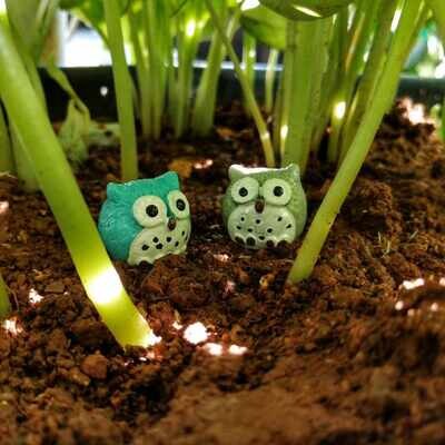 Miniature Owl Assorted (Single Piece) Miniature Owl Assorted (Single Piece)