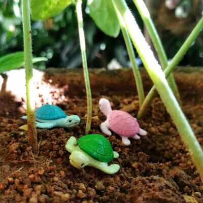Miniature Turtle Assorted (Single Piece) Miniature Turtle Assorted (Single Piece)