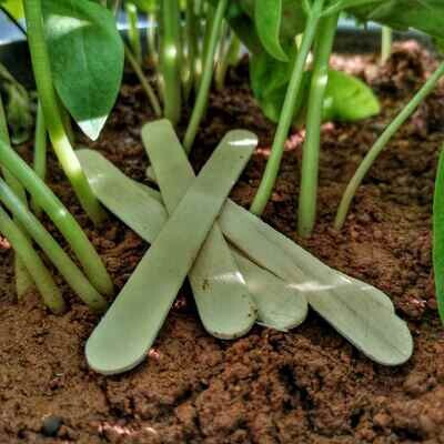 Plant Tag Ice Cream Sticks (5 Sticks) Plant Tag Ice Cream Sticks (5 Sticks)