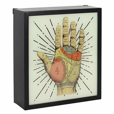 Palmistry Light Box