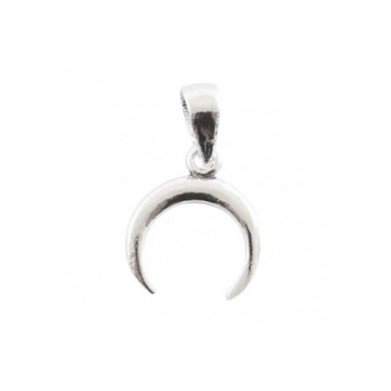 Sterling Silver Small Horn Pendant