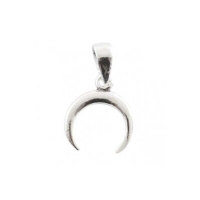 Sterling Silver Small Horn Pendant