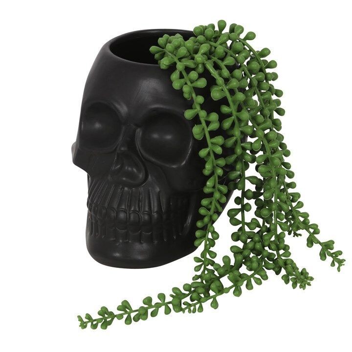 Large Black Skull Plant Pot