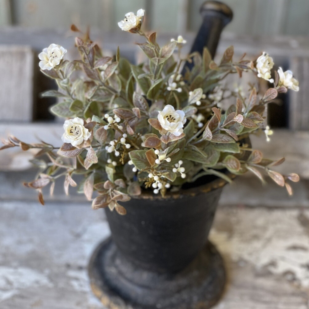 Lan 12&quot; Autumn Rosette Bush Cream