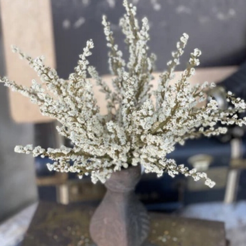 Lan 12&quot; Fall Heather Cream Bush