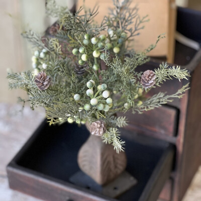 Lan 12” Siberian cypress fresh