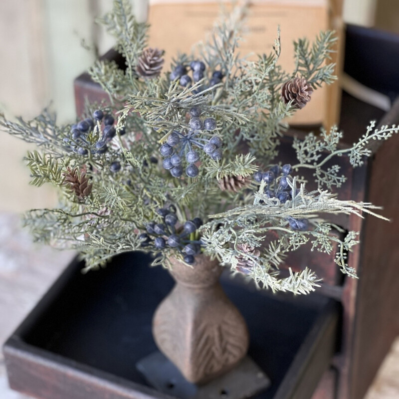 Lan 12" Blue Siberian Cypress Bush