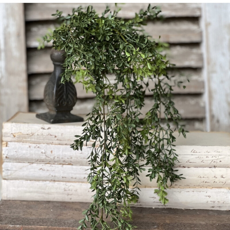 Lan 32.5&quot; Boxwood Hanging
