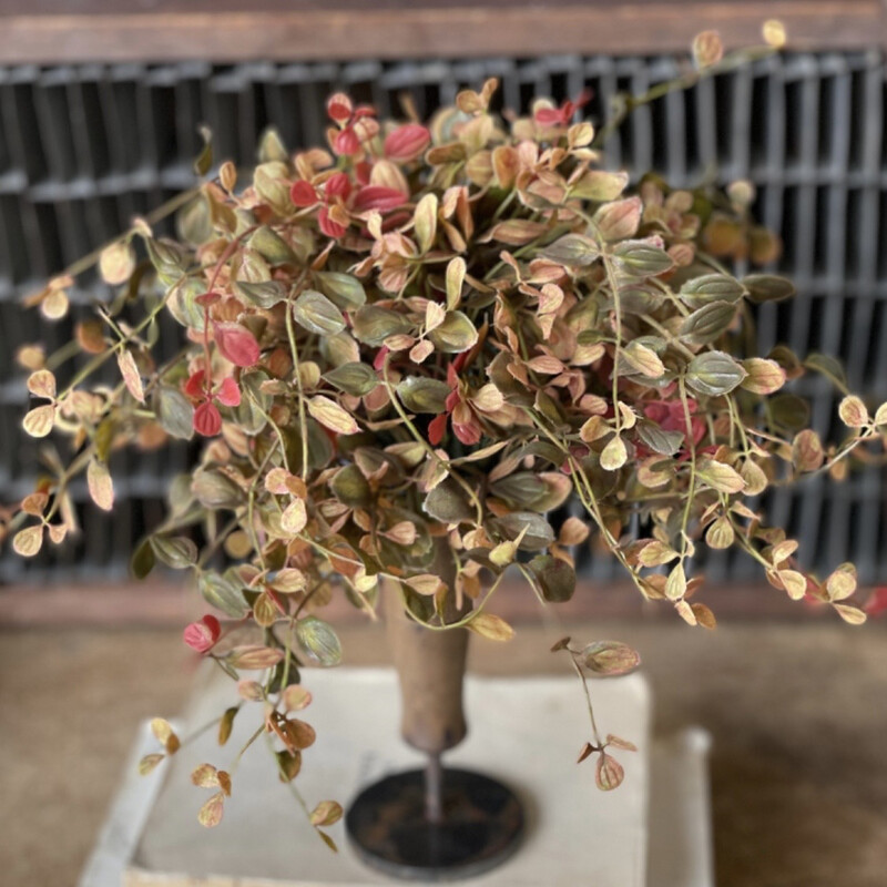 Lan 12&quot; Bog Pimpernel Half Sphere Red