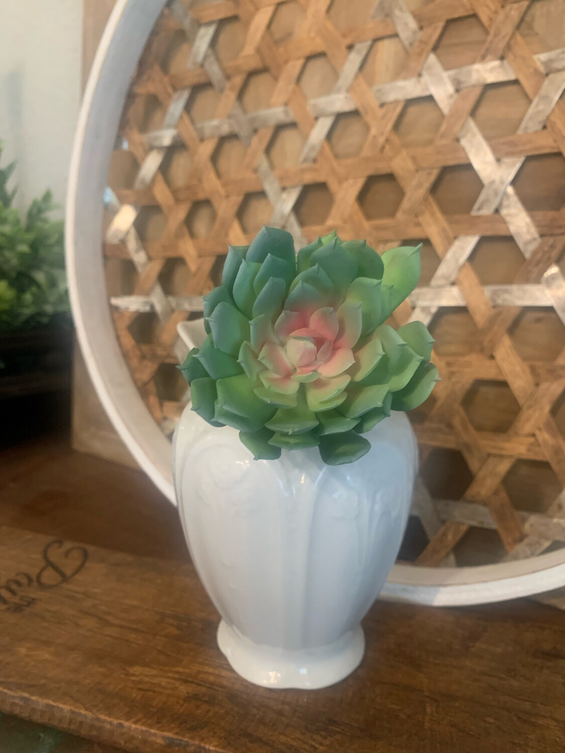 Reg 6&quot; Kale Succulent