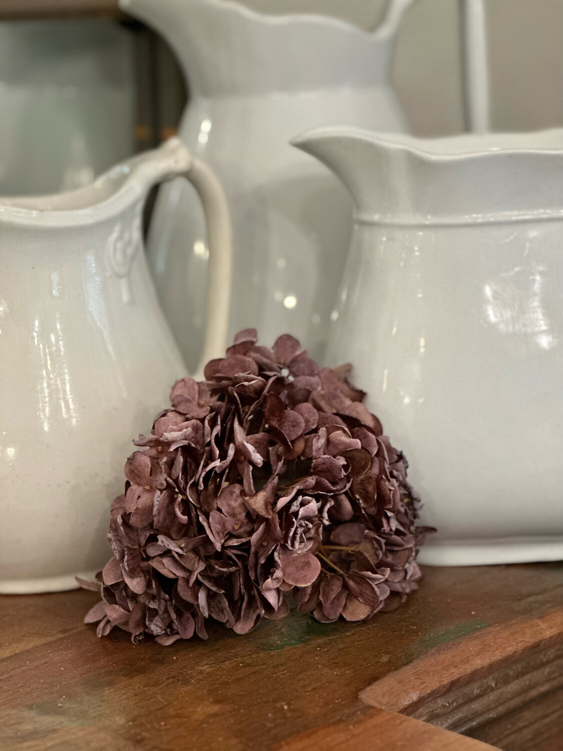 MV Eggplant Hydrangea 6 Bundle