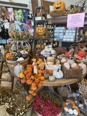 Fall