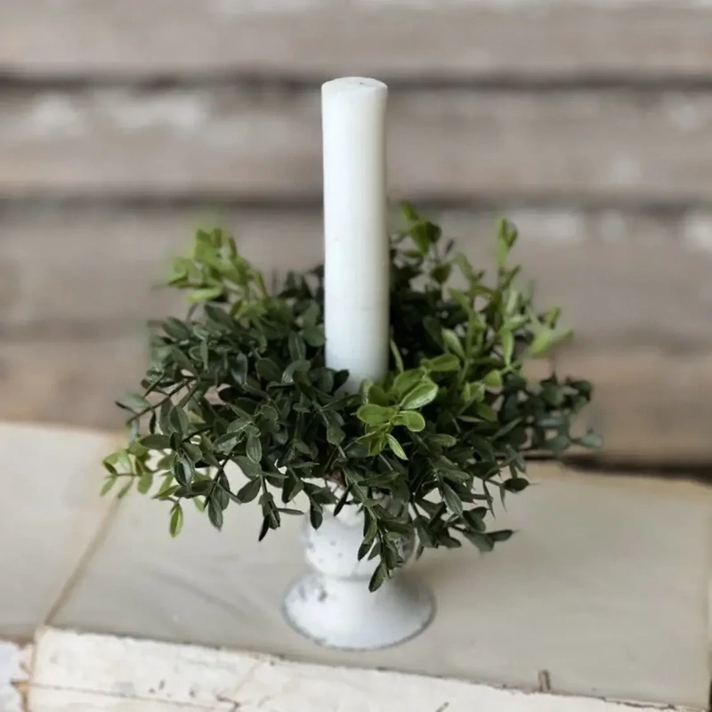 Lan 2&quot; Boxwood Candle Ring
