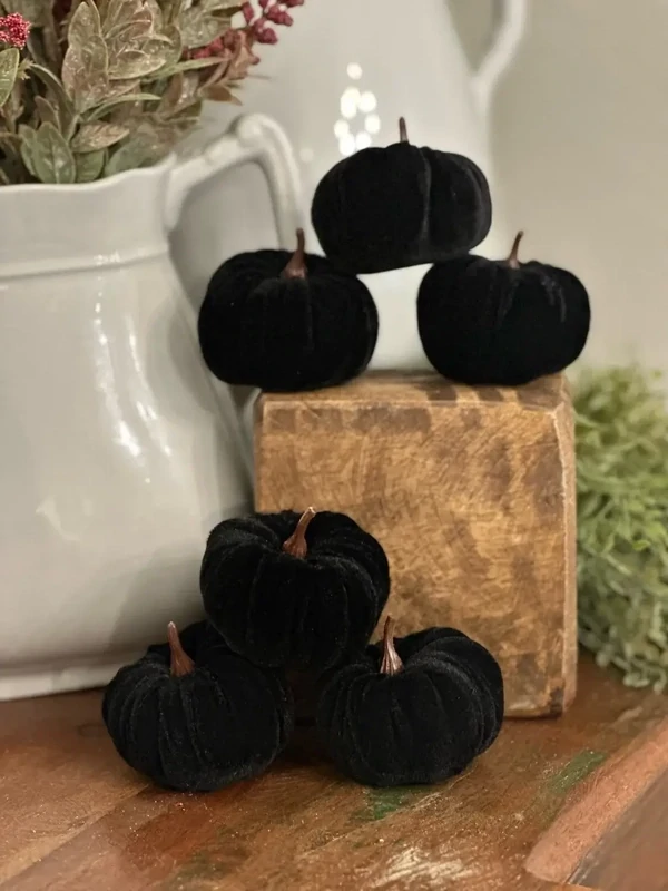 IE Black Velvet Mini Pumpkin (Bag Of 6)
