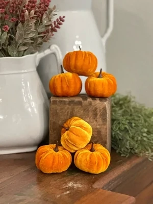 IE Orange Velvet Mini Pumpkin (Bag 6)