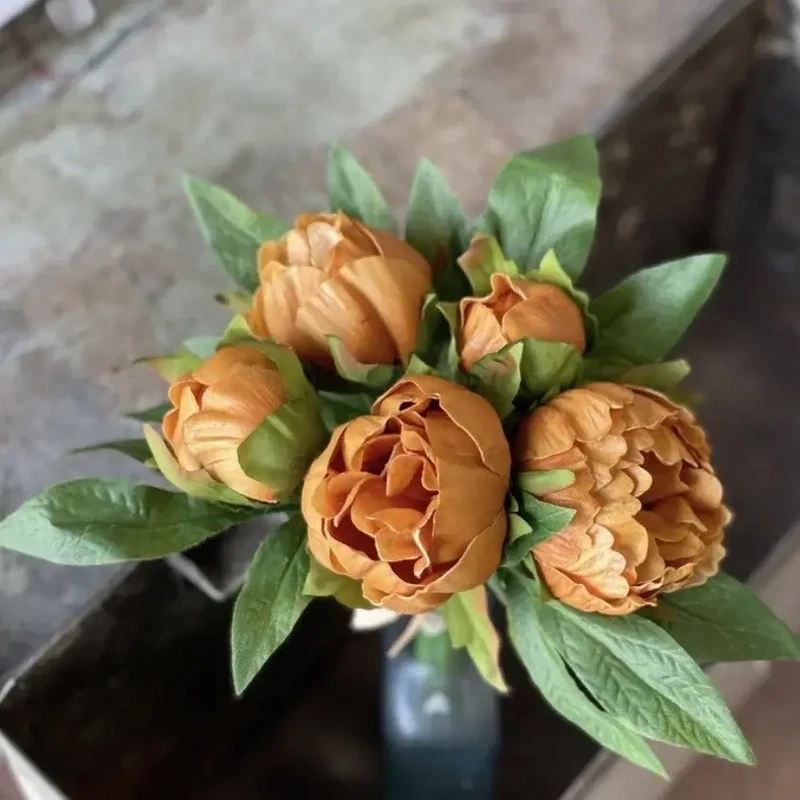 Lan 10" Saffron Peonies