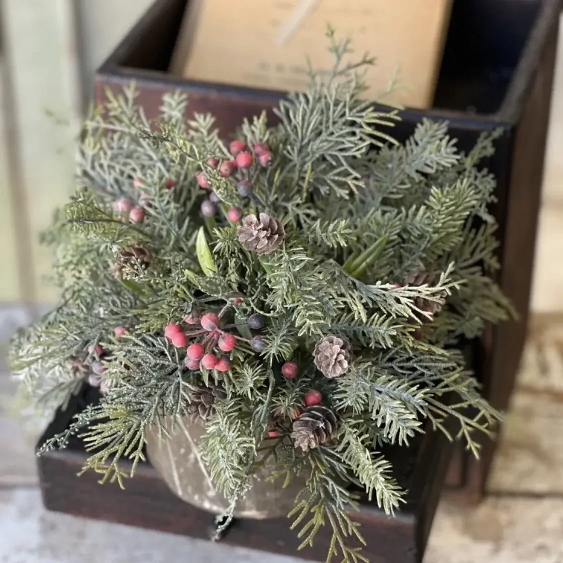 Lan 12&quot; Red Siberian Cypress Half Sphere