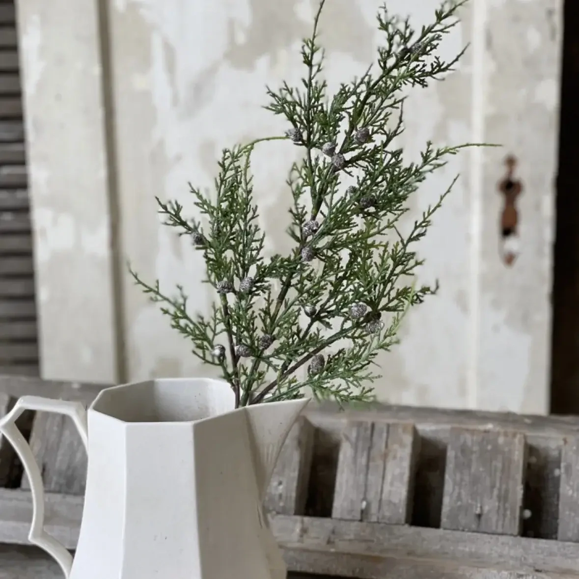 Vin 20" Creeping Cedar Spray