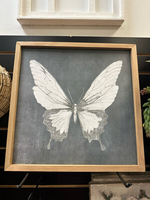 Cco Butterfly Framed 15.6x15.6
