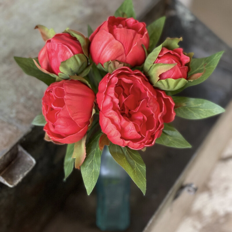 Lan 11&quot; Peony Bundle Red 