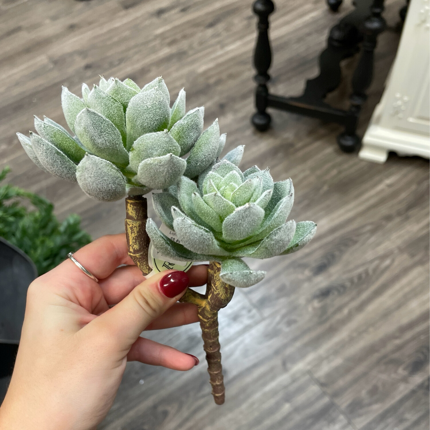 Reg 7&quot; Triple Light Succ