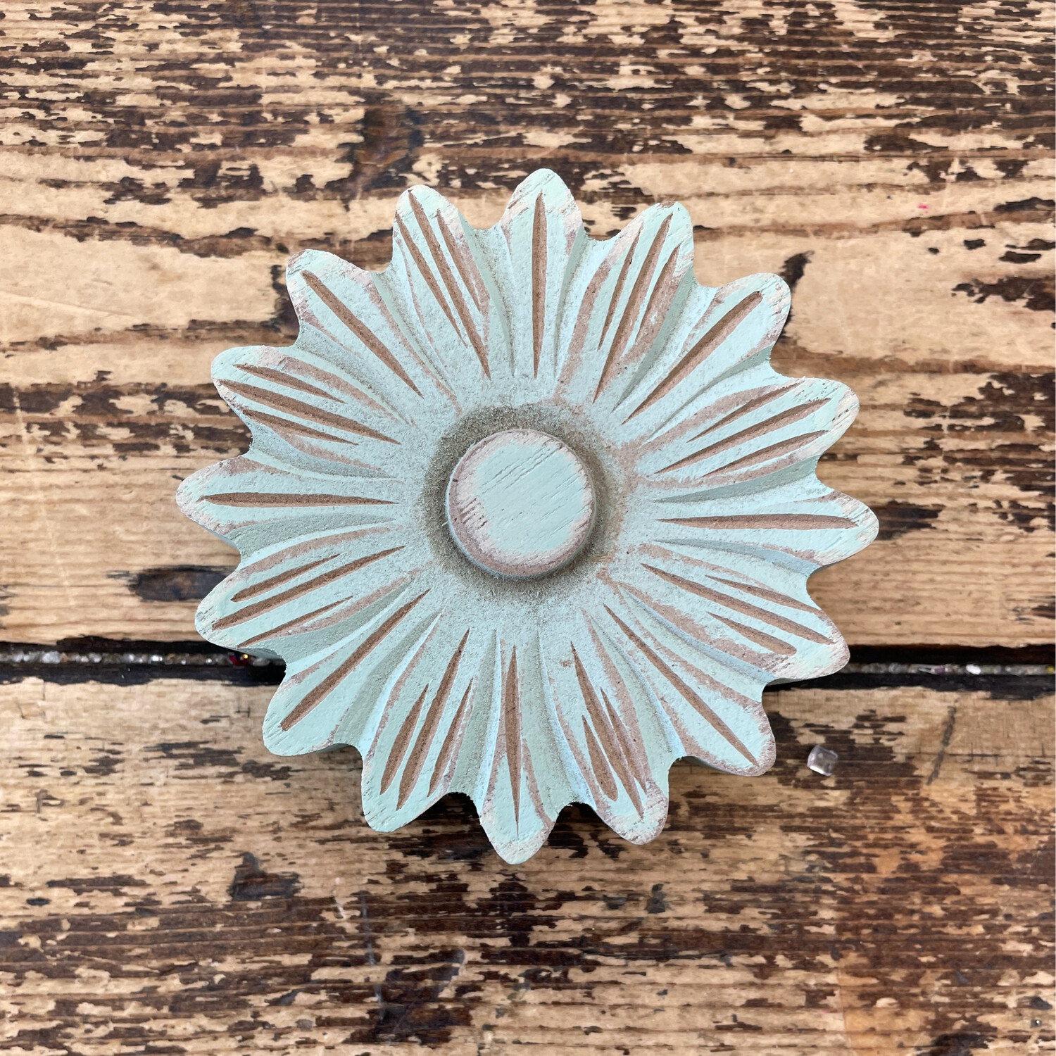 Col Med Sage Washed Daisy Head