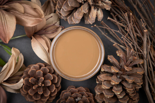 DB Pine Cone 16oz