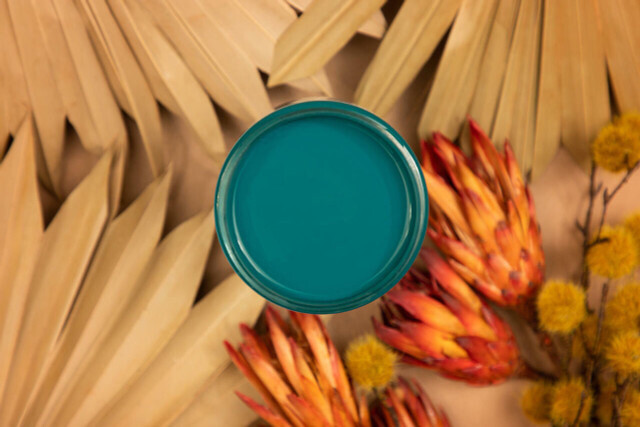 DB Silk Oasis 16 Oz