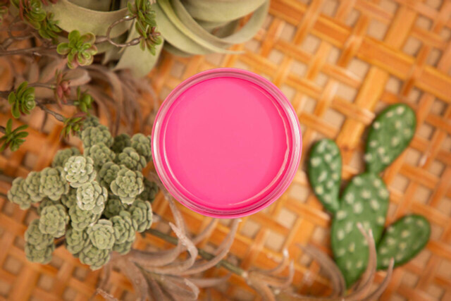 DB Silk Prickly Pear 16oz