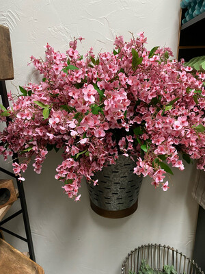 Lan 32" Pink Canterbury Hydrangea
