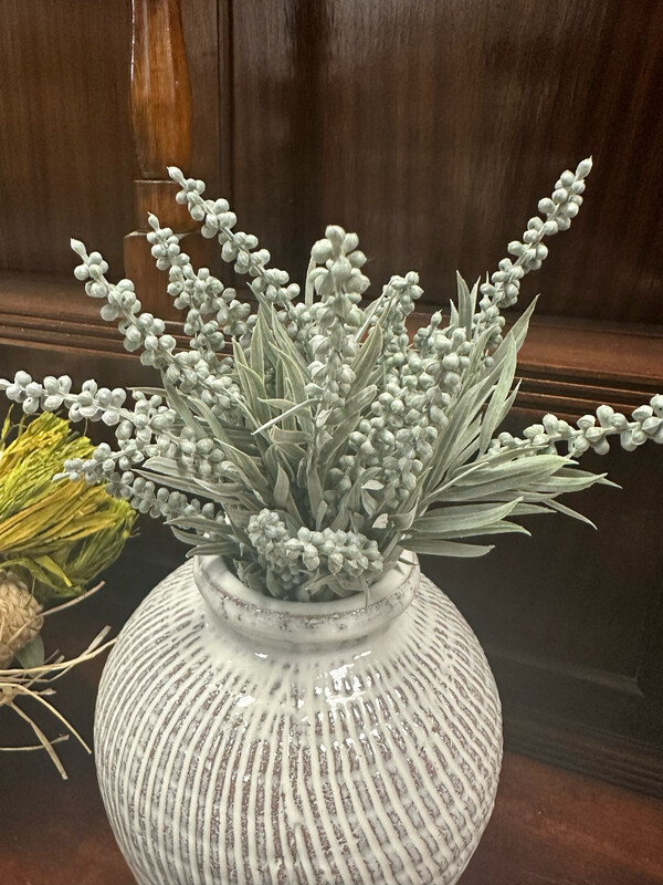 MV Bush Sedum Grass x5